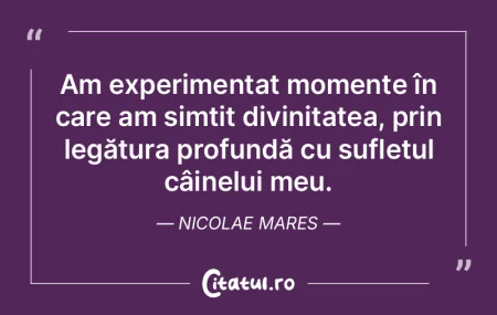 Am experimentat momente în care am simÈ... Am experimentat momente în care am simÈ...