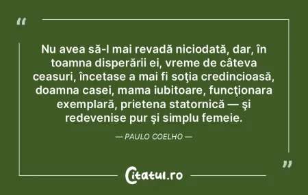 Nu avea să-l mai revadă niciodată, da... Nu avea să-l mai revadă niciodată, da...