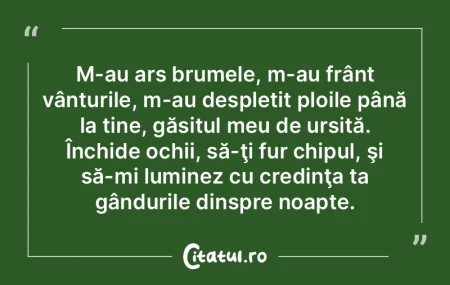 M-au ars brumele, m-au frânt vânturile... M-au ars brumele, m-au frânt vânturile...