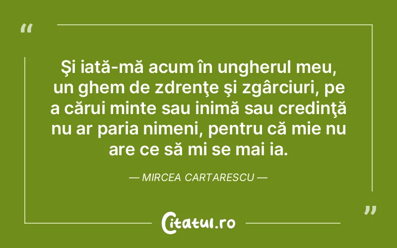 Citat Mircea Cartarescu - citate crestine
