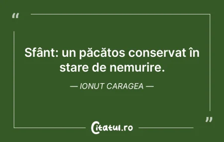 Sfânt: un păcătos conservat în stare... Sfânt: un păcătos conservat în stare...