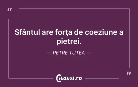 Sfântul are forţa de coeziune a pietre... Sfântul are forţa de coeziune a pietre...