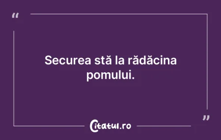 Securea stă la rădăcina pomului. Securea stă la rădăcina pomului.