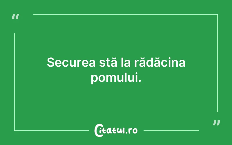 Citat Autor necunoscut - citate crestine