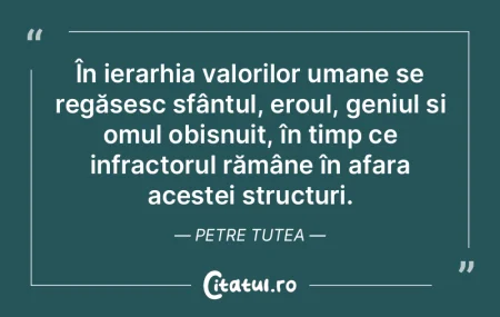 În ierarhia valorilor umane se regăses... În ierarhia valorilor umane se regăses...