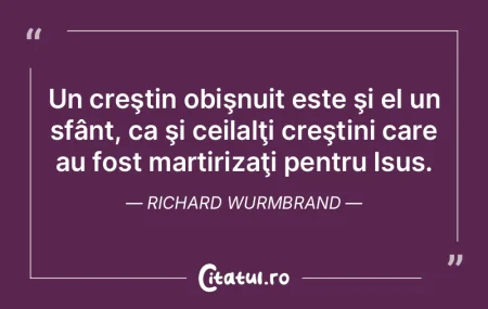Un creÅŸtin obiÅŸnuit este ÅŸi el un sfÃ... Un creÅŸtin obiÅŸnuit este ÅŸi el un sfÃ...
