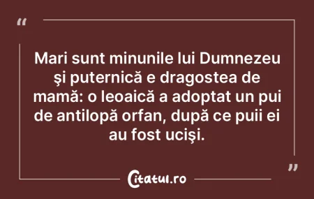 Mari sunt minunile lui Dumnezeu şi pute...