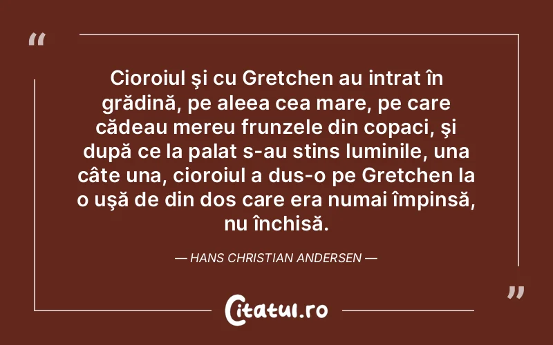 Cioroiul şi cu Gretchen au intrat în grădină, pe aleea cea mare, pe care cădeau mereu frunzele din copaci, şi după ce la palat s-au stins luminile, una câte una, cioroiul a dus-o pe Gretchen la o uşă de din dos care era numai împinsă, nu închisă. Hans Christian Andersen