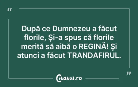 După ce Dumnezeu a făcut florile, Şi-...