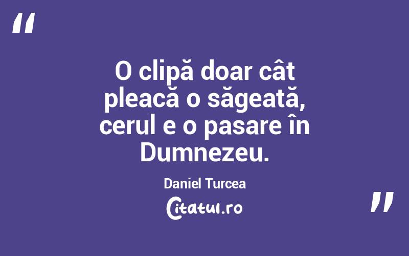 O clipă doar cât pleacă o săgeată, cerul e o pasare în Dumnezeu. Daniel Turcea
