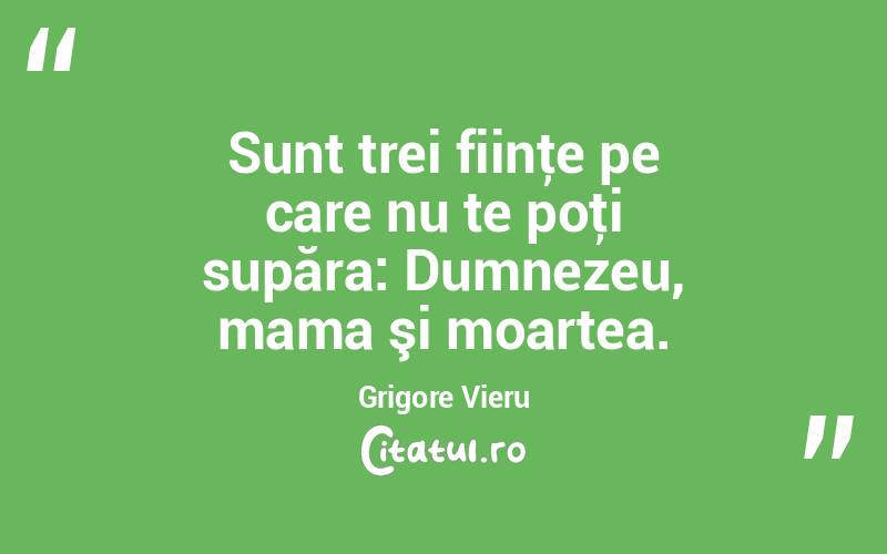 Sunt trei fiinţe pe care nu te poţi supăra: Dumnezeu, mama şi moartea. Grigore Vieru
