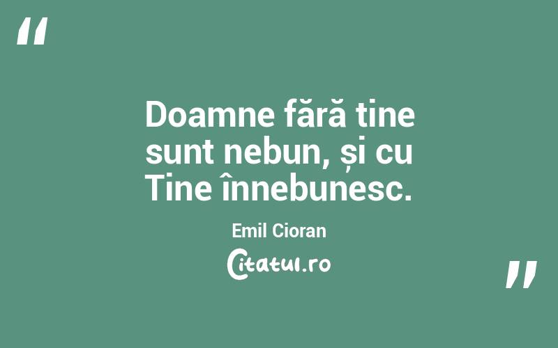 Doamne fără tine sunt nebun, și cu Tine înnebunesc. Emil Cioran