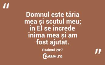 Domnul este tăria mea și scutul meu; în El se încrede inima mea și am fost ajutat. Psalmul 28:7...