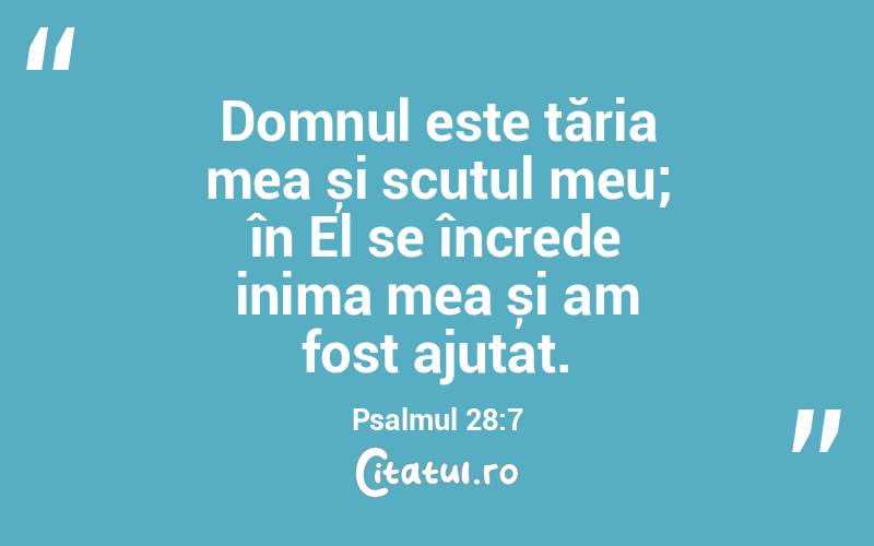 Domnul este tăria mea și scutul meu; în El se încrede inima mea și am fost ajutat. Psalmul 28:7