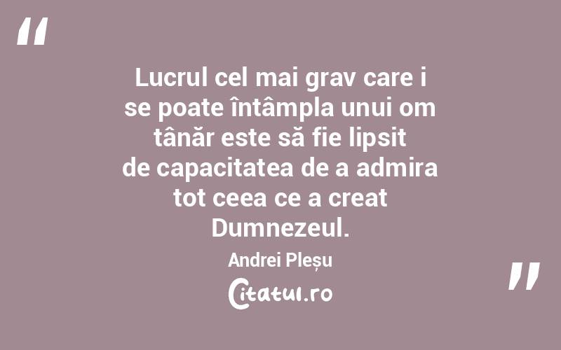 Lucrul cel mai grav care i se poate întâmpla unui om tânăr este să fie lipsit de capacitatea de a admira tot ceea ce a creat Dumnezeul. Andrei Pleșu
