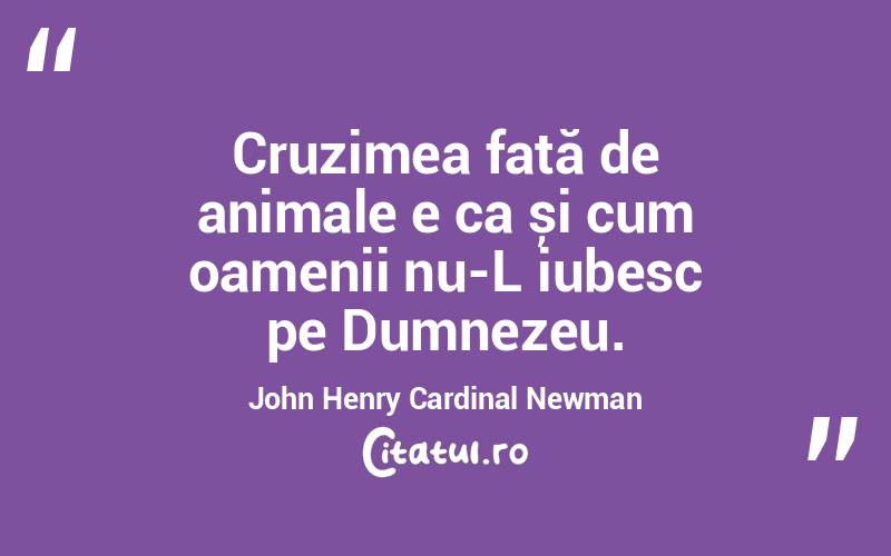 Cruzimea față de animale e ca și cum oamenii nu-L iubesc pe Dumnezeu. John Henry Cardinal Newman