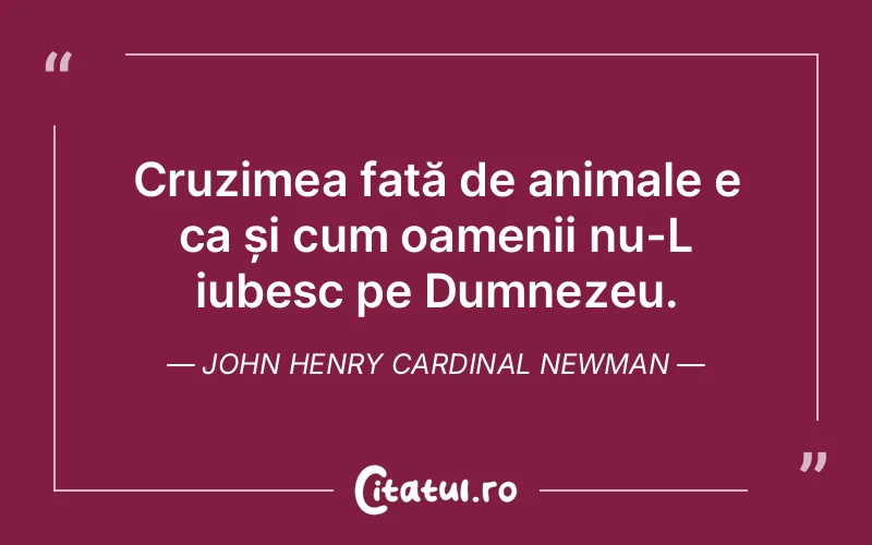 Cruzimea față de animale e ca și cum oamenii nu-L iubesc pe Dumnezeu. John Henry Cardinal Newman