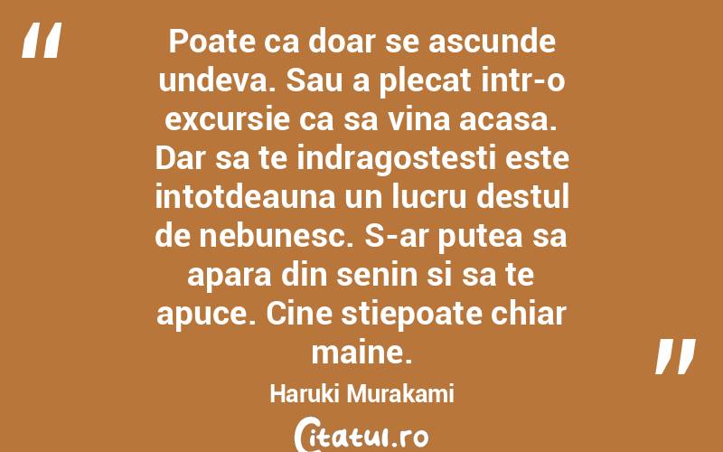 Poate ca doar se ascunde undeva. Sau a plecat intr-o excursie ca sa vina acasa. Dar sa te indragostesti este intotdeauna un lucru destul de nebunesc. S-ar putea sa apara din senin si sa te apuce. Cine stiepoate chiar maine. Haruki Murakami