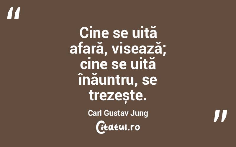 Cine se uită afară, visează; cine se uită înăuntru, se trezește. Carl Gustav Jung