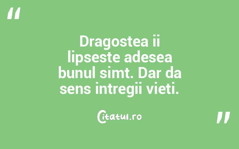 Dragostea ii lipseste adesea bunul simt. Dar da sens intregii vieti.