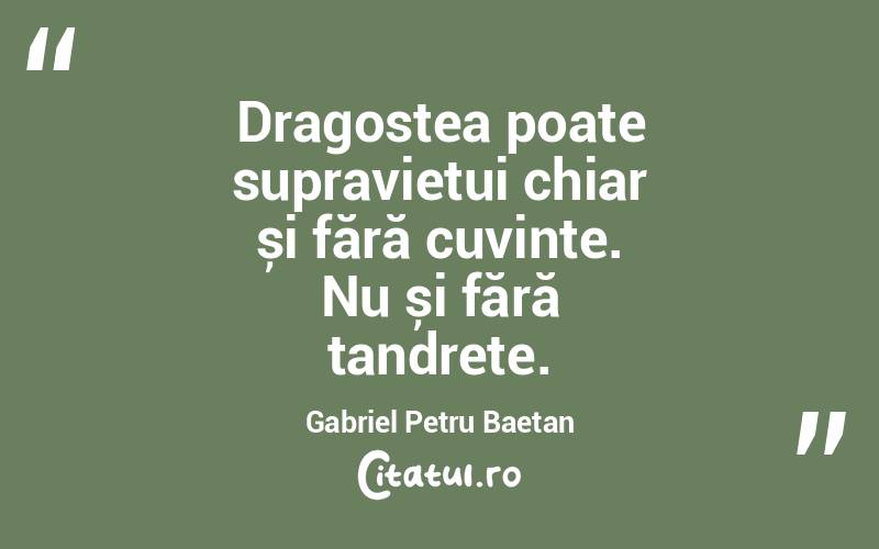 Dragostea poate supraviețui chiar și fără cuvinte. Nu și fără tandrețe. Gabriel Petru Baetan