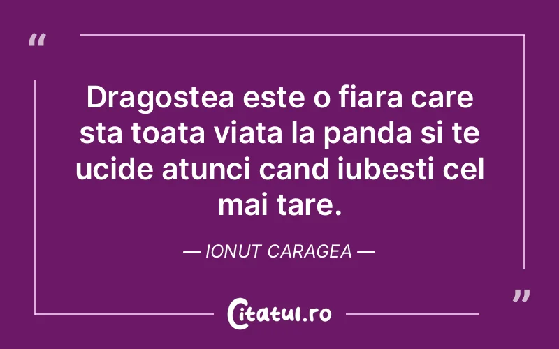 Citat Ionut Caragea - citate dragoste