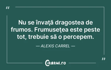Nu se învaţă dragostea de frumos. Fru...