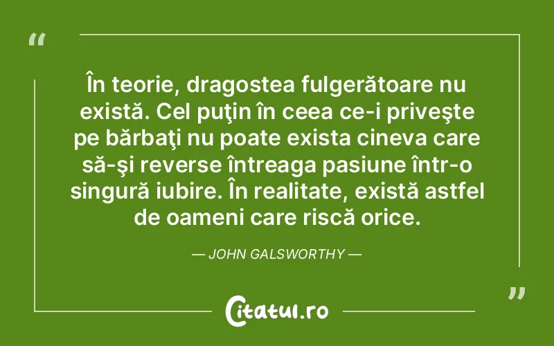 În teorie, dragostea fulgerătoare nu există. Cel puţin în ceea ce-i priveşte pe bărbaţi nu poate exista cineva care să-şi reverse întreaga pasiune într-o singură iubire. În realitate, există astfel de oameni care riscă orice. John Galsworthy