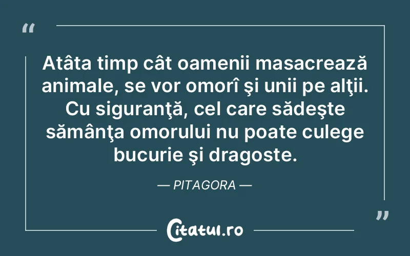 Citat Pitagora - citate dragoste