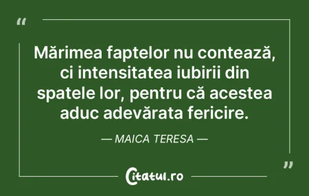 Mărimea faptelor nu contează, ci inten...