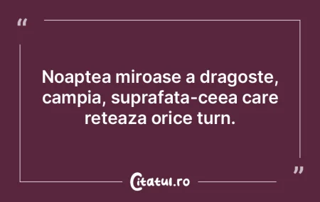 Noaptea miroase a dragoste, campia, supr...