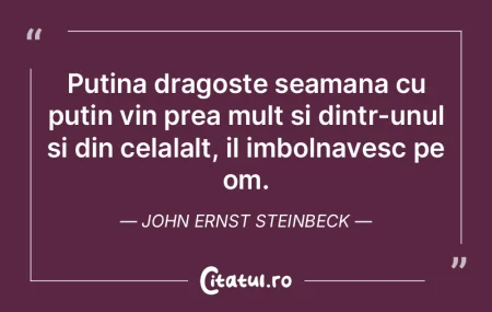 Putina dragoste seamana cu putin vin pre...