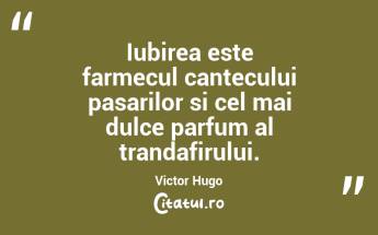 Iubirea este farmecul cantecului pasarilor si cel mai dulce parfum al trandafirului. Victor Hugo...