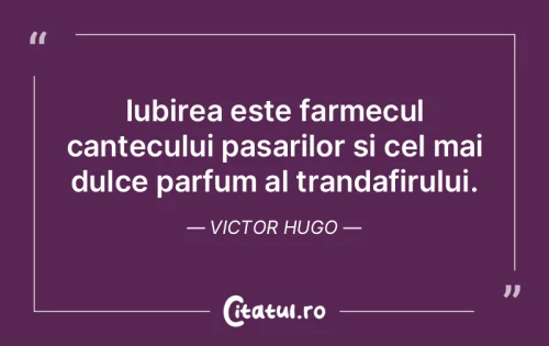 Citat Dragoste - Citatul.ro