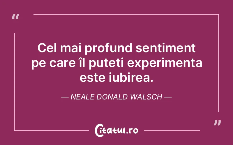 Citat Neale Donald Walsch - citate dragoste