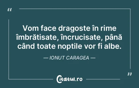 Vom face dragoste în rime îmbrățișa...