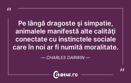 Pe lângă dragoste şi simpatie, animal...