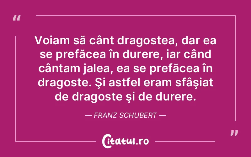 Citat Franz Schubert - citate dragoste