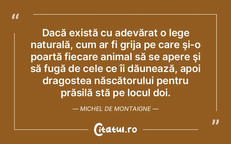 Citat Autor necunoscut - citate dragoste