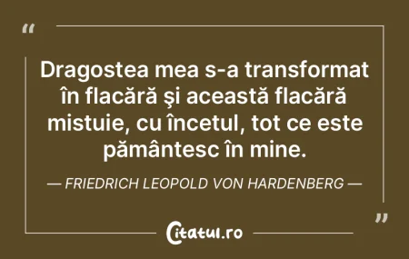 Dragostea mea s-a transformat în flacă...