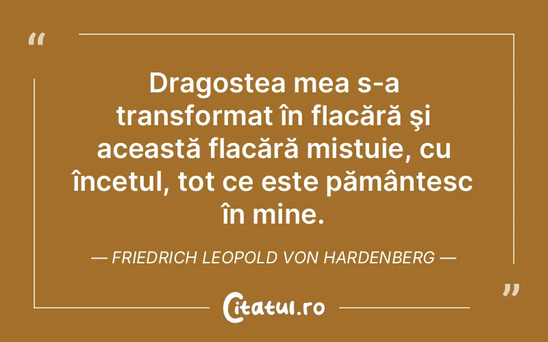 Citat Friedrich Leopold Von Hardenberg - citate dragoste