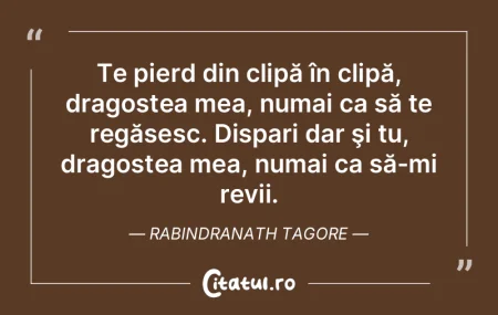 Te pierd din clipă în clipă, dragoste...