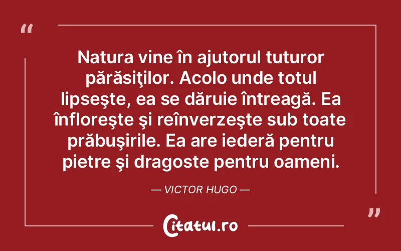 Citat Autor necunoscut - citate dragoste