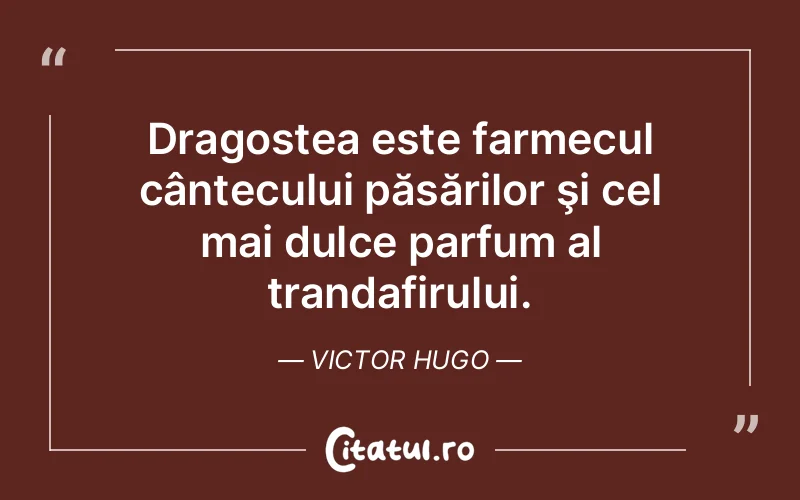 Citat Victor Hugo - citate dragoste