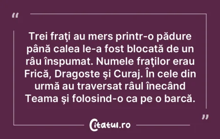 Trei fraţi au mers printr-o pădure pâ...