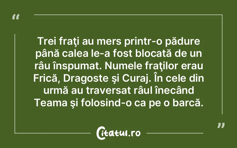 Citat Autor necunoscut - citate dragoste