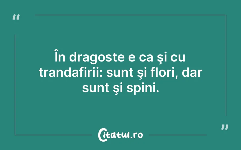 Citat Autor necunoscut - citate dragoste