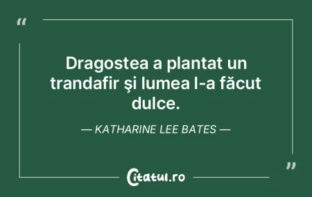 Dragostea a plantat un trandafir şi lum...