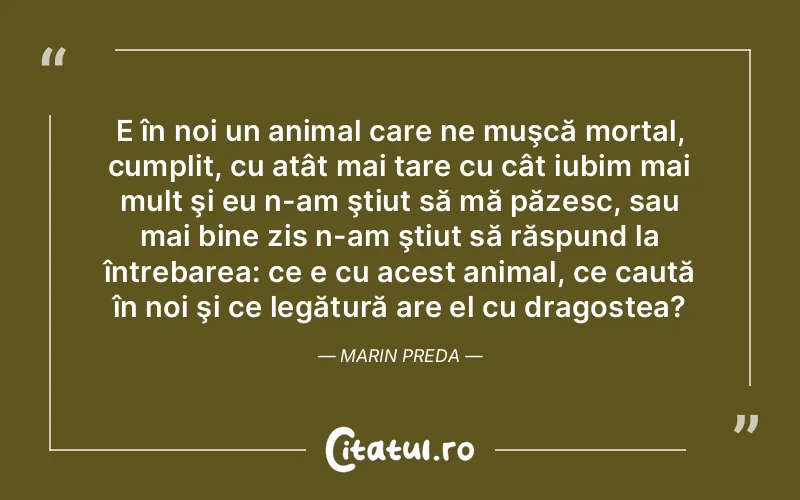 Citat Autor necunoscut - citate dragoste