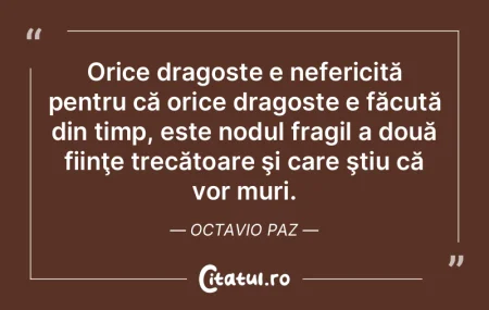 Orice dragoste e nefericită pentru că ...